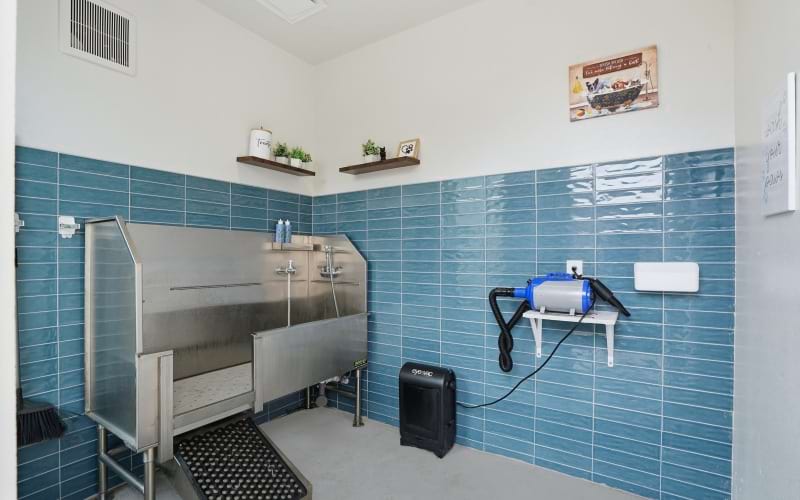Pet wash station at Prose Greenbriar Apartment